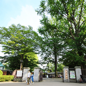 新宿御苑